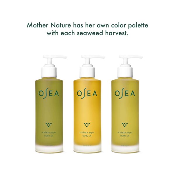 OSEA Undaria Algae™ Body Oil 5 oz - After Shower Body Oil - Non-Greasy Body Serum & Fast Absorbing Skincare - Clean Beauty & Vegan Seaweed Body Moisturizer for Dry Skin - Image 5