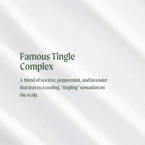 Tea Tree Special Conditioner, Detangles, Smooths + Softens, For All Hair Types - Image 3