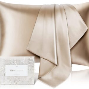 100% Pure Mulberry Silk Pillowcase for Hair and Skin - Allergen Resistant Dual Sides,600 Thread Count Silk Bed Pillow Cases with Hidden Zipper,1pc,Standard Size,Taupe