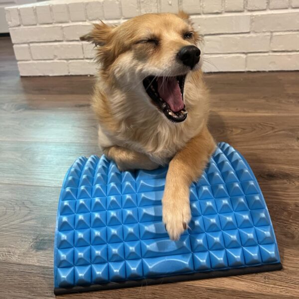 SOLIDBACK | Back Stretcher for Lower Back Pain Relief | Sciatica Pain Relief | Neck and Back Stretcher | Back Decompression | Spine Corrrector | Sciatic Nerve | Chiropractic Stretch | Spinal Stenosis - Image 6