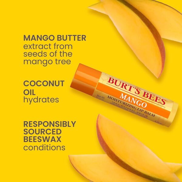 Burt\'s Bees Lip Balm Stocking Stuffers, Moisturizing Lip Care Christmas Gifts, SuperFruit - Pomegranate, Coconut & Pear, Mango, Pink Grapefruit, Natural Origin Treatment (4-Pack) - Image 2